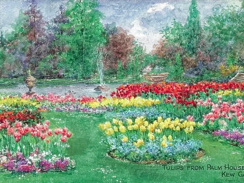 1862-Annie Pressland - Tulipani dalla Palm House Terrace, Kew Gardens presso i Royal Botanic Gardens, Kew, Londra